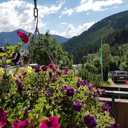 Margarete Guest house 3*